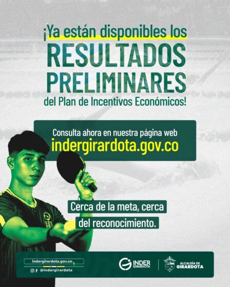 Resultados preliminares Plan Incentivos